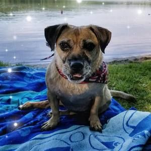 Meet your Posher, Jay